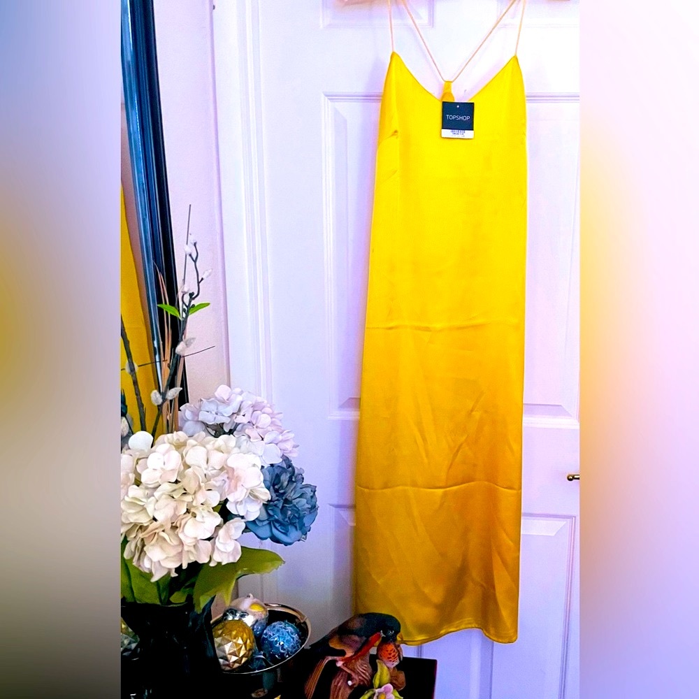Beautiful Satin Gold Dress/Gown/Lingerie